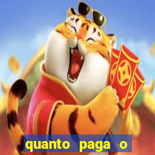 quanto paga o jungle fight